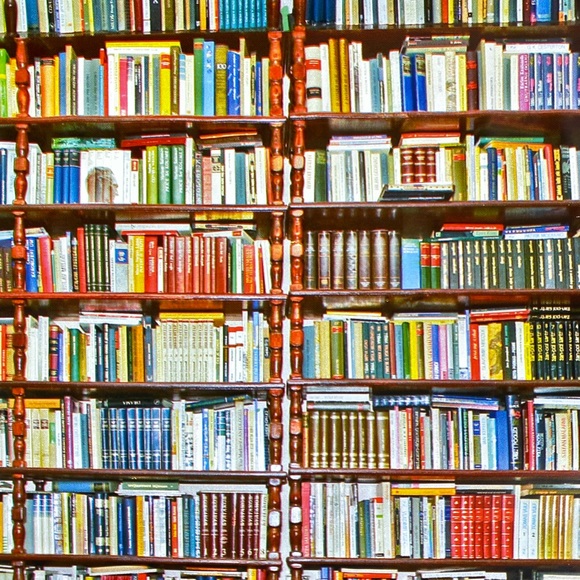 50 10X13 Book Poly Mailers CLEARANCE - Picture 3 of 8